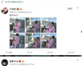 网红喜哥淘宝店铺名字,网红魅力与购物体验的完美融合